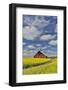 Red barn in canola field near Genesee, Idaho.-Darrell Gulin-Framed Photographic Print