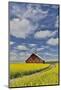 Red barn in canola field near Genesee, Idaho.-Darrell Gulin-Mounted Photographic Print