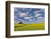 Red barn in canola field near Genesee, Idaho.-Darrell Gulin-Framed Photographic Print