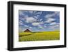 Red barn in canola field near Genesee, Idaho.-Darrell Gulin-Framed Photographic Print