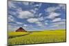 Red barn in canola field near Genesee, Idaho.-Darrell Gulin-Mounted Photographic Print