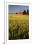 Red Barn in Field of Harvest Wheat-Terry Eggers-Framed Premium Photographic Print