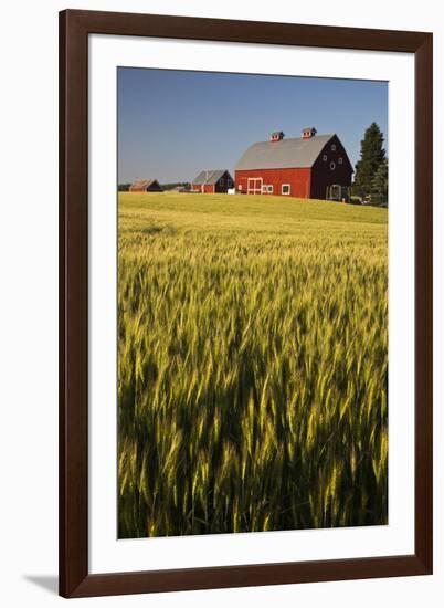 Red Barn in Field of Harvest Wheat-Terry Eggers-Framed Premium Photographic Print