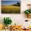 Red Barn in Field of Harvest Wheat-Terry Eggers-Photographic Print displayed on a wall