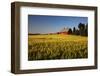 Red Barn in Field of Harvest Wheat-Terry Eggers-Framed Photographic Print