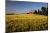 Red Barn in Field of Harvest Wheat-Terry Eggers-Mounted Photographic Print