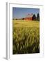 Red Barn in Field of Harvest Wheat-Terry Eggers-Framed Photographic Print