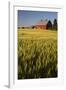 Red Barn in Field of Harvest Wheat-Terry Eggers-Framed Photographic Print