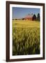 Red Barn in Field of Harvest Wheat-Terry Eggers-Framed Photographic Print