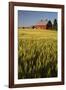 Red Barn in Field of Harvest Wheat-Terry Eggers-Framed Photographic Print