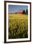 Red Barn in Field of Harvest Wheat-Terry Eggers-Framed Photographic Print