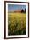 Red Barn in Field of Harvest Wheat-Terry Eggers-Framed Photographic Print