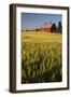 Red Barn in Field of Harvest Wheat-Terry Eggers-Framed Photographic Print