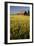 Red Barn in Field of Harvest Wheat-Terry Eggers-Framed Photographic Print