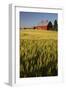 Red Barn in Field of Harvest Wheat-Terry Eggers-Framed Photographic Print