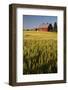 Red Barn in Field of Harvest Wheat-Terry Eggers-Framed Photographic Print