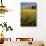 Red Barn in Field of Harvest Wheat-Terry Eggers-Photographic Print displayed on a wall