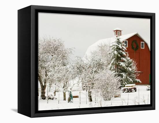 Red Barn in Fresh Snow, Whidbey Island, Washington, USA-Trish Drury-Framed Stretched Canvas