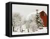 Red Barn in Fresh Snow, Whidbey Island, Washington, USA-Trish Drury-Framed Stretched Canvas