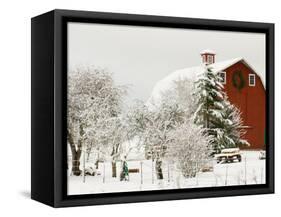 Red Barn in Fresh Snow, Whidbey Island, Washington, USA-Trish Drury-Framed Stretched Canvas