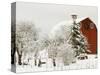Red Barn in Fresh Snow, Whidbey Island, Washington, USA-Trish Drury-Stretched Canvas