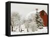 Red Barn in Fresh Snow, Whidbey Island, Washington, USA-Trish Drury-Framed Stretched Canvas