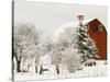 Red Barn in Fresh Snow, Whidbey Island, Washington, USA-Trish Drury-Stretched Canvas