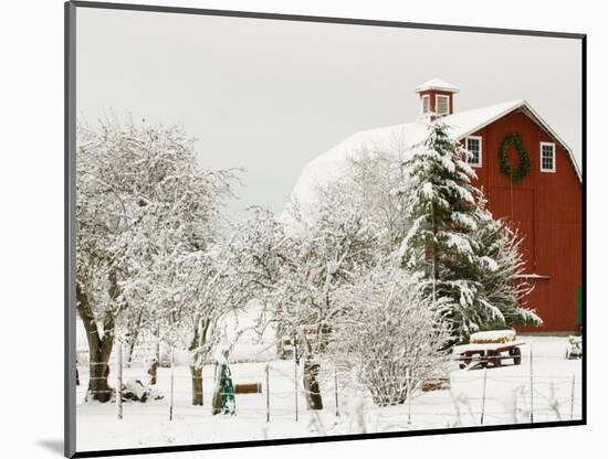 Red Barn in Fresh Snow, Whidbey Island, Washington, USA-Trish Drury-Mounted Photographic Print