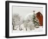 Red Barn in Fresh Snow, Whidbey Island, Washington, USA-Trish Drury-Framed Photographic Print