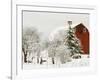 Red Barn in Fresh Snow, Whidbey Island, Washington, USA-Trish Drury-Framed Photographic Print