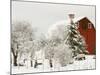 Red Barn in Fresh Snow, Whidbey Island, Washington, USA-Trish Drury-Mounted Photographic Print