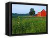 Red Barn in Green Field-Bruce Burkhardt-Framed Stretched Canvas