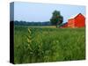 Red Barn in Green Field-Bruce Burkhardt-Stretched Canvas