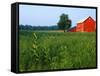 Red Barn in Green Field-Bruce Burkhardt-Framed Stretched Canvas