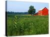 Red Barn in Green Field-Bruce Burkhardt-Stretched Canvas