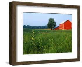 Red Barn in Green Field-Bruce Burkhardt-Framed Photographic Print