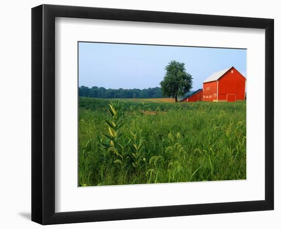 Red Barn in Green Field-Bruce Burkhardt-Framed Photographic Print