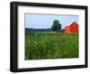 Red Barn in Green Field-Bruce Burkhardt-Framed Photographic Print