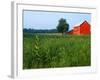 Red Barn in Green Field-Bruce Burkhardt-Framed Photographic Print