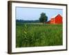 Red Barn in Green Field-Bruce Burkhardt-Framed Photographic Print