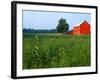 Red Barn in Green Field-Bruce Burkhardt-Framed Photographic Print