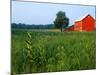 Red Barn in Green Field-Bruce Burkhardt-Mounted Photographic Print