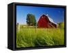 Red Barn in Long Grass-Bob Krist-Framed Stretched Canvas