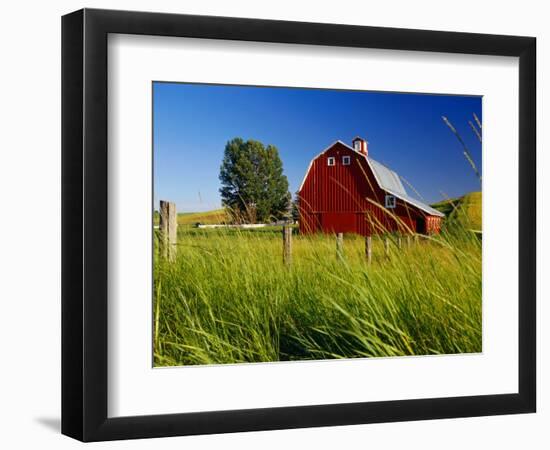 Red Barn in Long Grass-Bob Krist-Framed Photographic Print