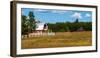 Red barn in meadow, Knowlton, Quebec, Canada-null-Framed Photographic Print