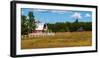 Red barn in meadow, Knowlton, Quebec, Canada-null-Framed Photographic Print