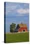Red Barn in Spring Wheat Field, Washington, USA-Terry Eggers-Stretched Canvas