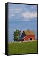 Red Barn in Spring Wheat Field, Washington, USA-Terry Eggers-Framed Stretched Canvas