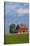 Red Barn in Spring Wheat Field, Washington, USA-Terry Eggers-Stretched Canvas