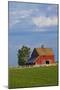 Red Barn in Spring Wheat Field, Washington, USA-Terry Eggers-Mounted Photographic Print